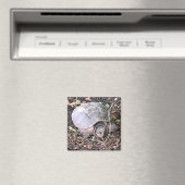 Turtle Magnet (In Situ (Geschirrspüler))