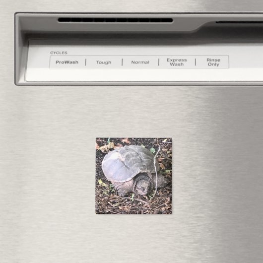 Turtle Magnet (In Situ (Geschirrspüler))