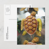 Turtle Magnet Postkarte (Vorne/Hinten)
