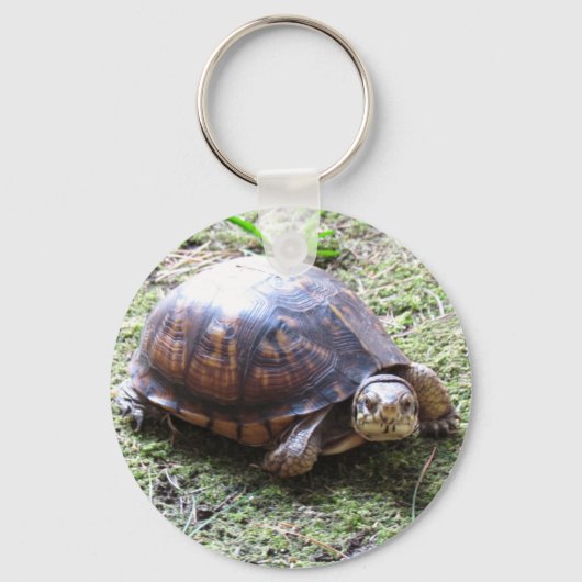 Turtle - Mossy Path Schlüsselanhänger (Vorderseite)