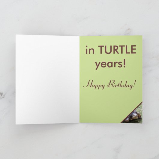 Turtle - Not Old -  Birthday Karte (Innenseite)
