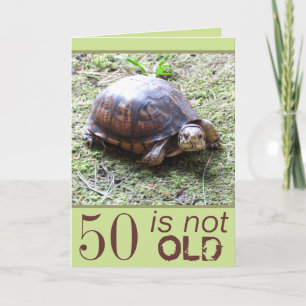 Turtle - Not Old - Birthday Karte