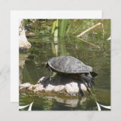 Turtle on a Rock Einladung (Vorne/Hinten)