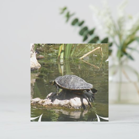 Turtle on a Rock Einladung (Stehend Vorderseite)