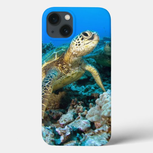 Turtle Pair Case-Mate iPhone Hülle (Rückseite)