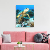 Turtle Pair Leinwanddruck (Insitu (Wohnzimmer))