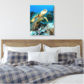 Turtle Pair Leinwanddruck (Insitu (Schlafzimmer))