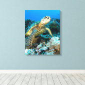 Turtle Pair Leinwanddruck (Insitu (Holzboden))