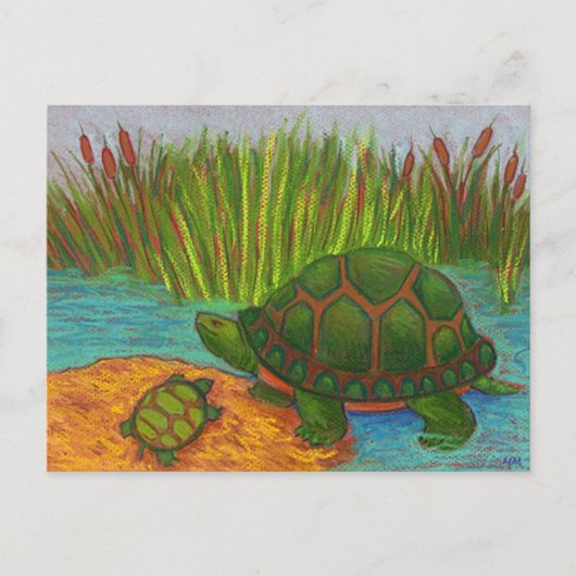 Turtle Pals Postkarte (Vorderseite)