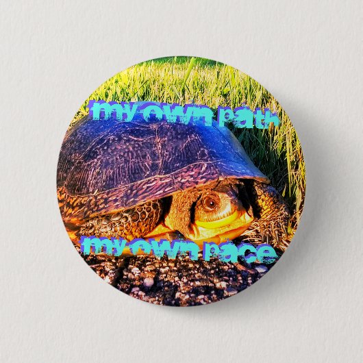 TURTLE-PFAD-BUTTON BUTTON (Vorderseite)