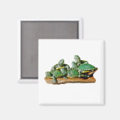 Turtle Picture Magnet (Vorderseite/Rückseite)