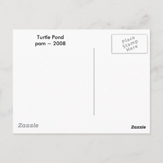 Turtle Pond Postkarte (Rückseite)