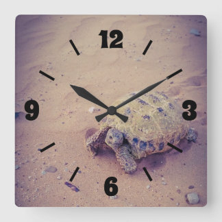 Turtle Quadratische Wanduhr