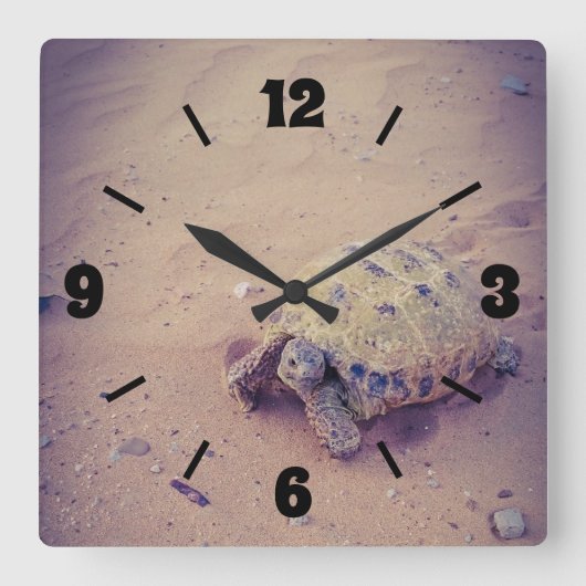 Turtle Quadratische Wanduhr (Vorderseite)