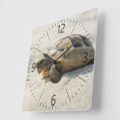 Turtle Quadratische Wanduhr (Winkel)