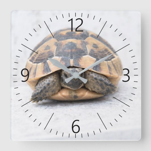 Turtle Quadratische Wanduhr (Vorderseite)