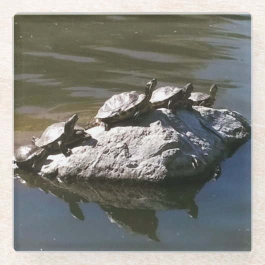 Turtle Rock Glasuntersetzer (Vorderseite)