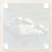 Turtle Rock Glasuntersetzer (Rückseite)