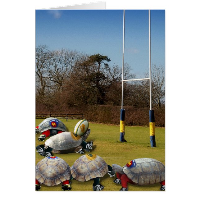 Turtle Rugby (Vorne)