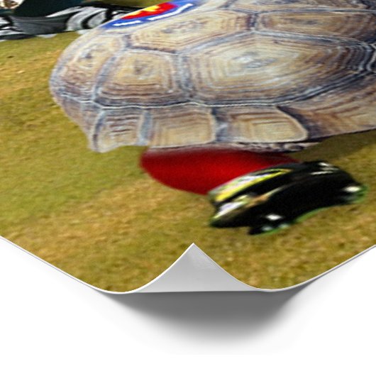 Turtle Rugby Poster (Ecke)