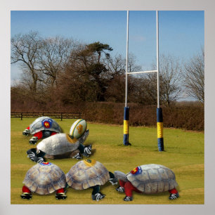 Turtle Rugby Poster