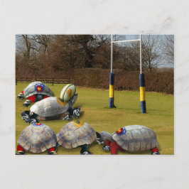 Turtle Rugby Postkarte