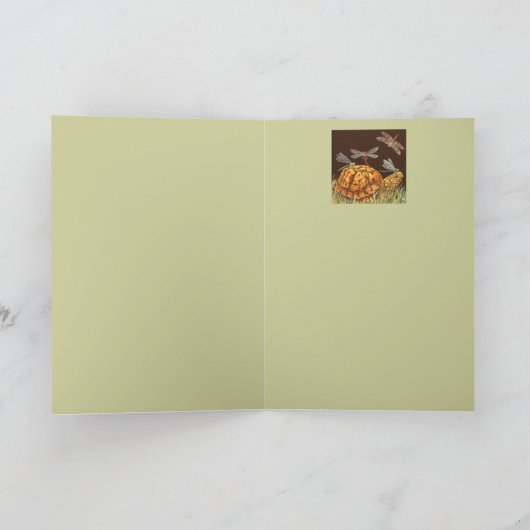 Turtle School Buskarte Karte (Innenseite)