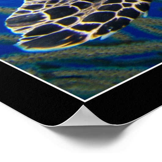 Turtle Seascape Poster (Ecke)