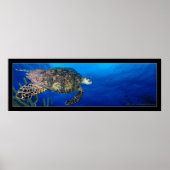 Turtle Seascape Poster (Vorne)