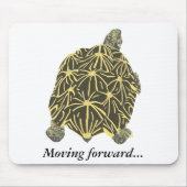 Turtle, star tortoise, painting mousepad (Vorne)