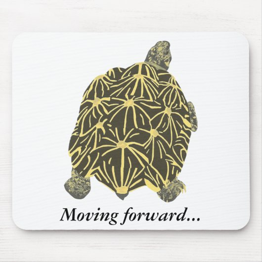Turtle, star tortoise, painting mousepad (Vorne)