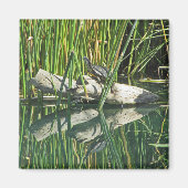 Turtle Sunning on Log mit Reflektionsfoto Magnet (Vorne)