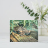 Turtle Sunning on log Postkarte (Stehend Vorderseite)