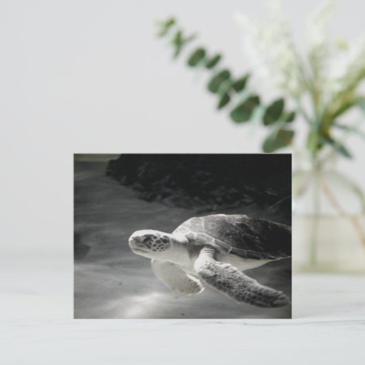 Turtle tank Greetings Postkarte (Stehend Vorderseite)