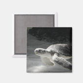 Turtle Tank Magnet (Vorderseite/Rückseite)