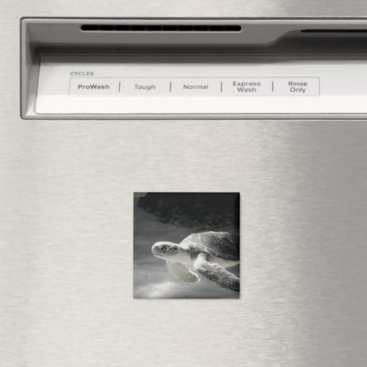 Turtle Tank Magnet (In Situ (Geschirrspüler))