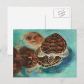 Turtle Time Postcard Postkarte (Vorne/Hinten)