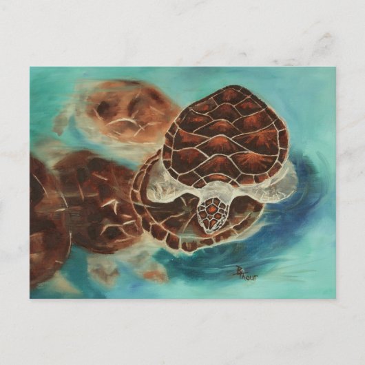 Turtle Time Postcard Postkarte (Vorderseite)