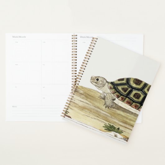Turtle & Tortoise Harmony: Post-it Notes Jigsaw Planer (Anzeige)