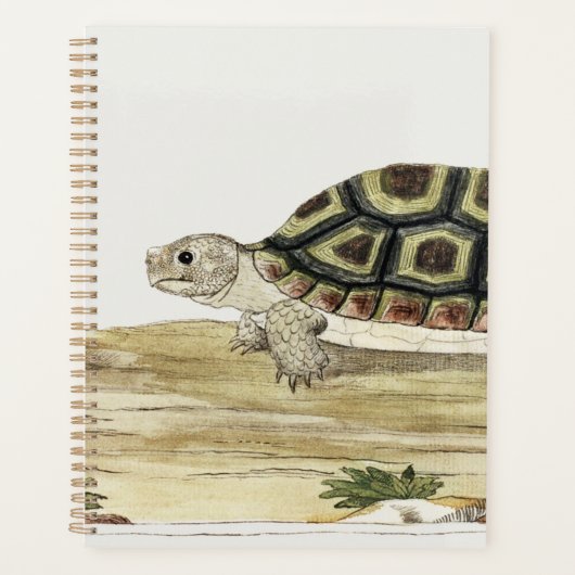 Turtle & Tortoise Harmony: Post-it Notes Jigsaw Planer (Vorderseite)