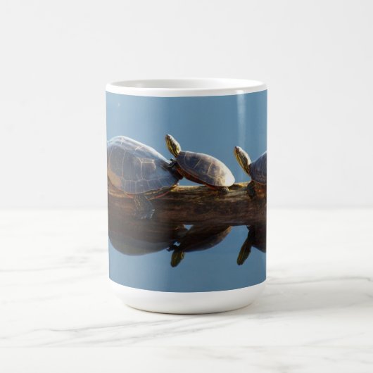 Turtle Trio Tasse (Mittel)