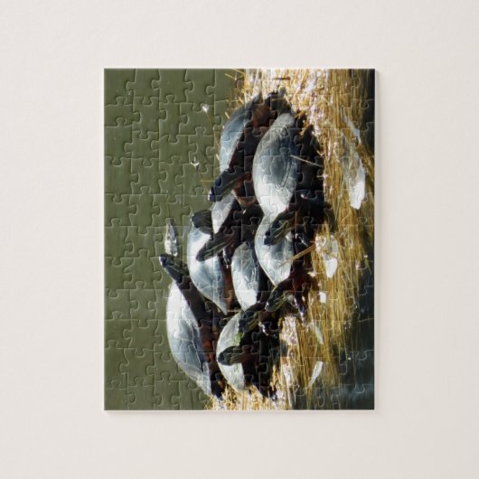 Turtle Troup Puzzle (Vertikal)
