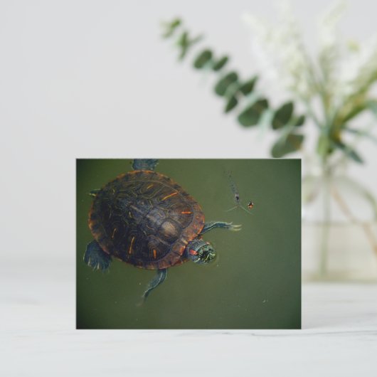 Turtle und Shrimp Lunch Buddies Postkarte (Stehend Vorderseite)