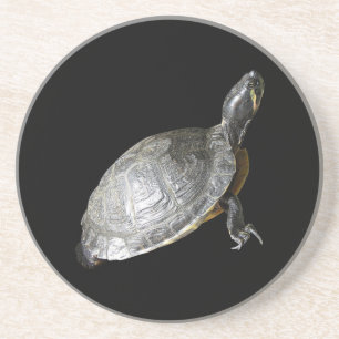 Turtle-Untersetzer Sandstein Untersetzer