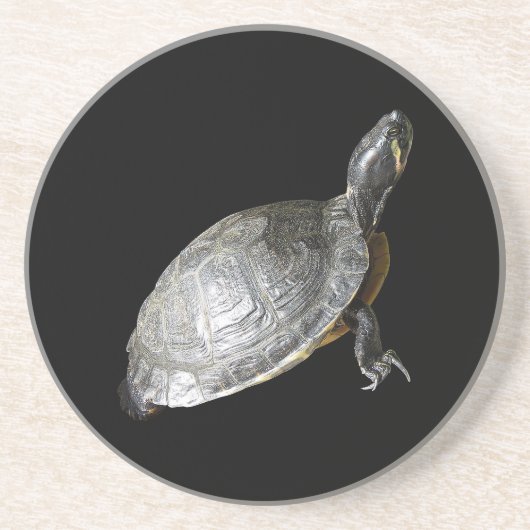 Turtle-Untersetzer Sandstein Untersetzer (Vorne)