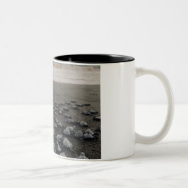 Turtles Coffee Tasse