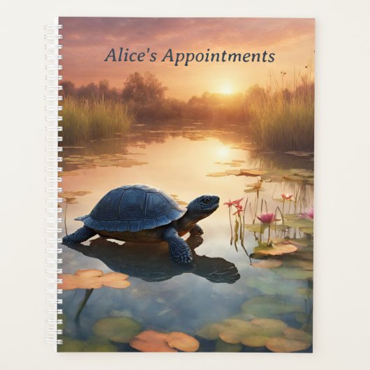 Turtles Glide Gracevoll Planer (Vorderseite)