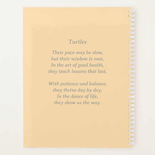 Turtles Glide Gracevoll Planer (Rückseite)