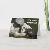Turtles on Rock Foto Funny Birthday Karte (Vorderseite)