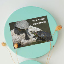Turtles on Rock Foto Funny Birthday